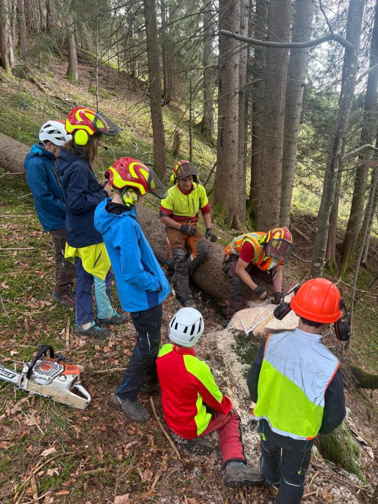 Schüler schauen am nationalen Zukunftstag den Forstwarten bei der Arbeit über die Schulter.